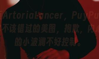 高清版ArtoriaLancer，PuyPuyChan说你不该错过的美图，抱歉，内心掀起的小波澜不好控制。